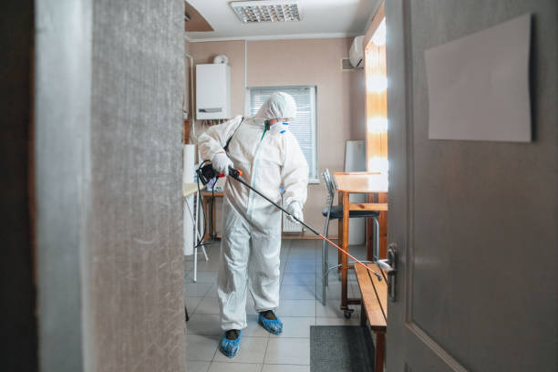 Best Real Estate Mold Inspection  in Celoron, NY