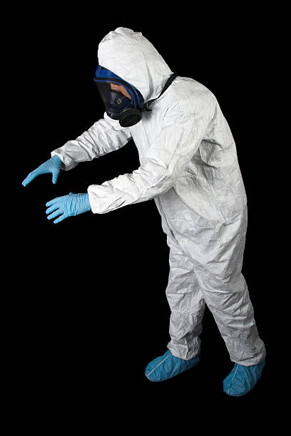 Best Mold Remediation for Healthcare Facilities  in Celoron, NY