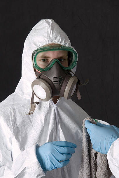 Best Asbestos and Lead Testing During Mold Inspection  in Celoron, NY